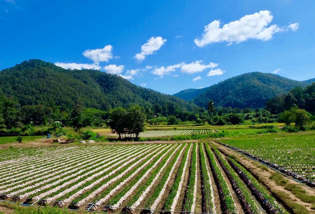 הוילה Samoeng Wongwan Farm מראה חיצוני תמונה